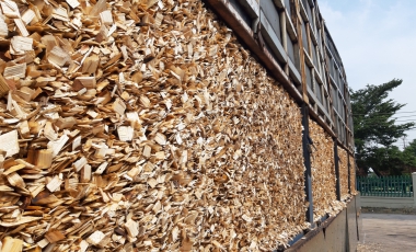 Chế biến dăm gỗ xuất khẩu